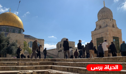 في ذكرى إحراق الأقصى .. مستوطنون يقتحمون باحاته